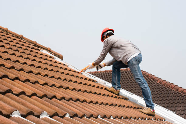 Reliable La Crosse, KS Roofing services Solutions